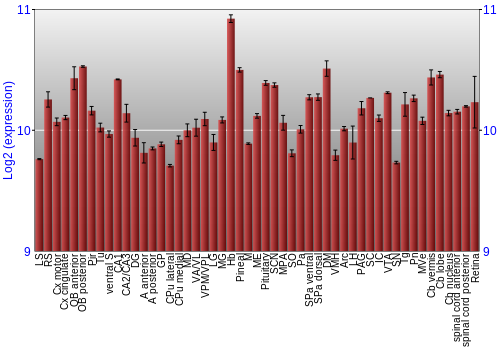 Expression graph