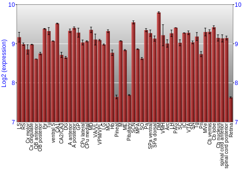 Expression graph