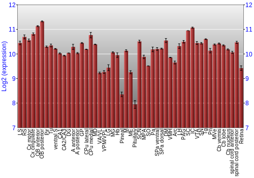 Expression graph