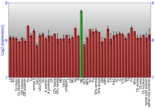 Multi-state expression graph