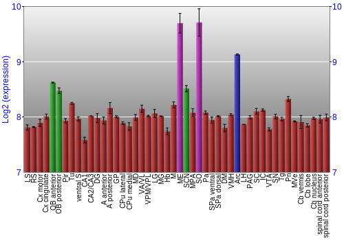Multi-state expression graph