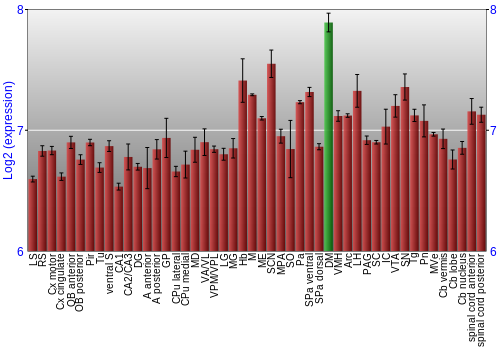 Multi-state expression graph