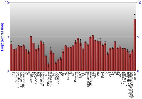 Expression graph