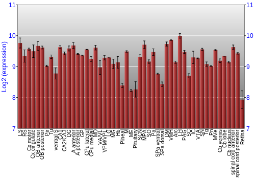 Expression graph