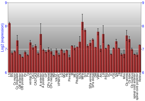 Expression graph