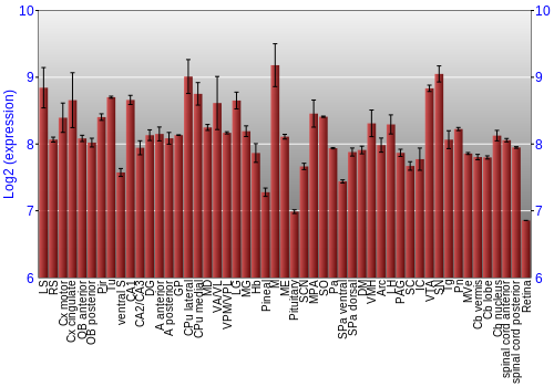 Expression graph