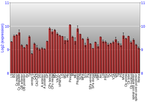 Expression graph