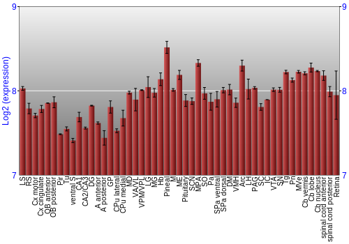 Expression graph