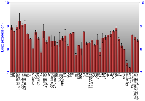 Multi-state expression graph