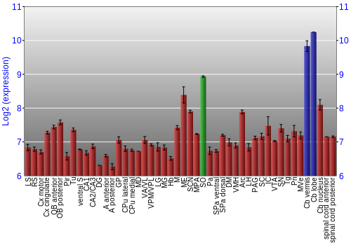 Multi-state expression graph