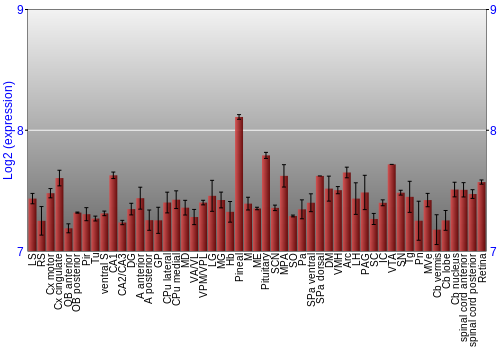 Expression graph