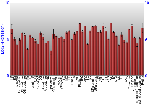 Expression graph