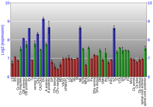Multi-state expression graph