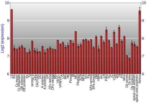 Expression graph