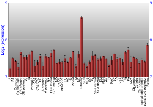 Expression graph