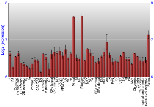Expression graph