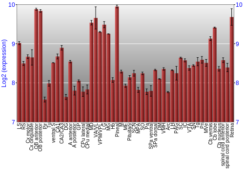 Expression graph