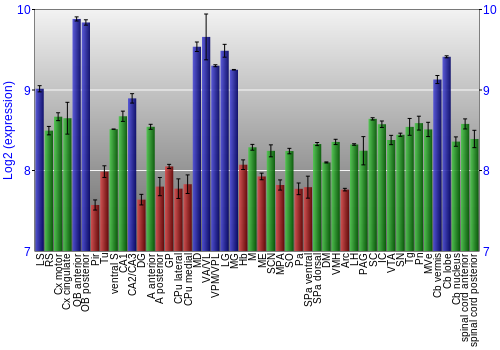 Multi-state expression graph