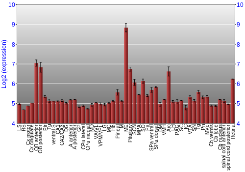 Expression graph