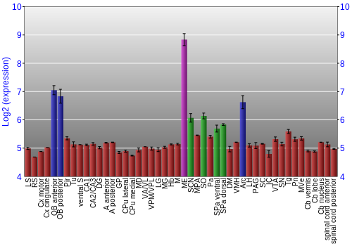 Multi-state expression graph