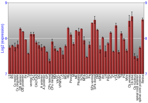 Expression graph