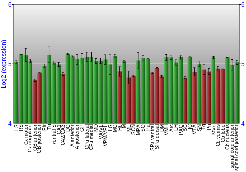 Multi-state expression graph