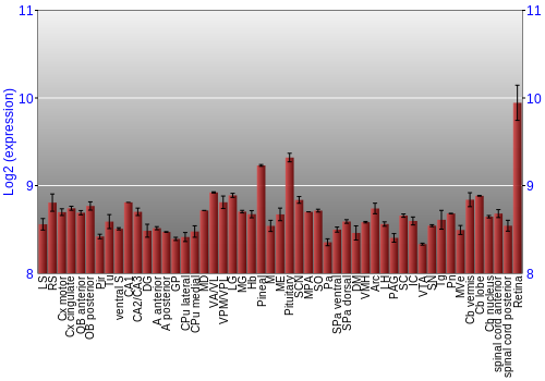 Expression graph