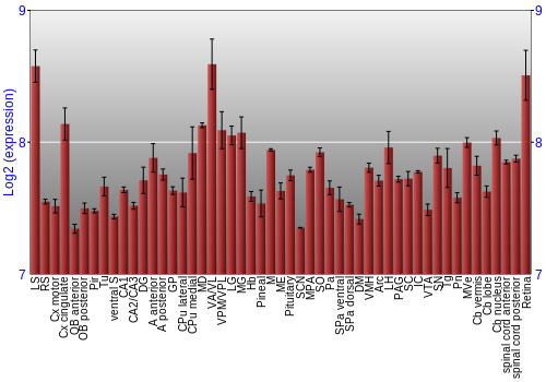 Expression graph