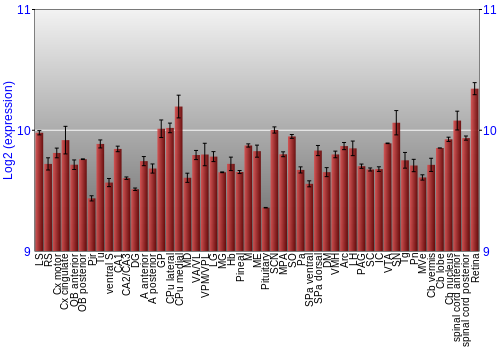 Expression graph