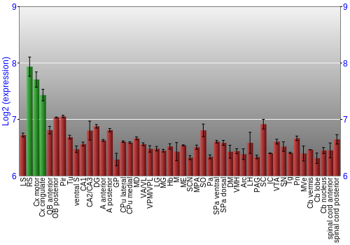Multi-state expression graph