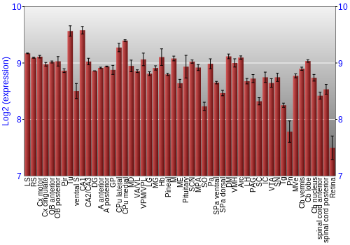 Expression graph