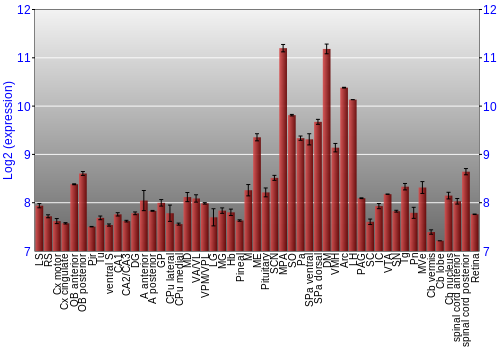 Expression graph