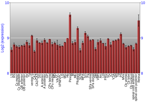Expression graph