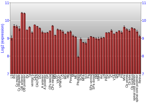 Expression graph