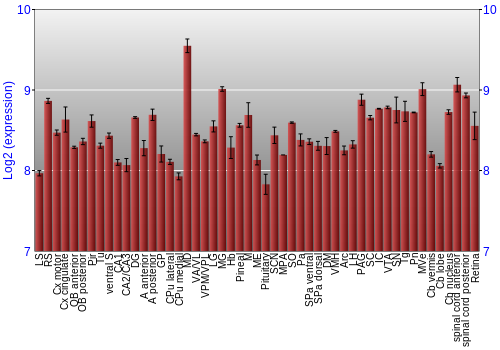Expression graph