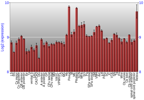 Expression graph