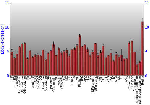 Expression graph