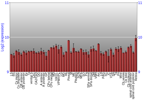 Expression graph