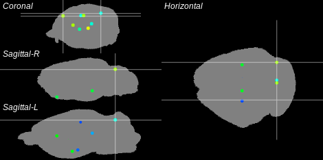 3D Cross section