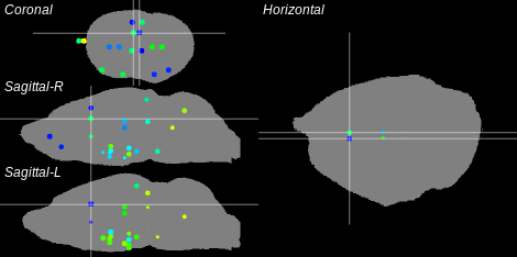 3D Cross section