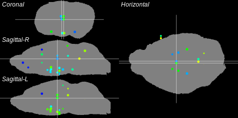 3D Cross section