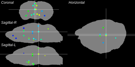 3D Cross section