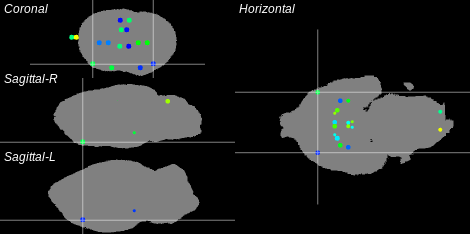 3D Cross section