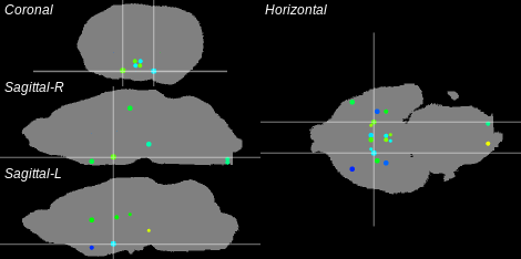 3D Cross section