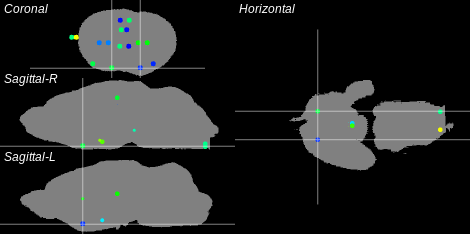 3D Cross section