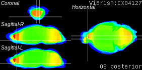ViBrism