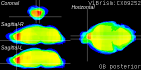 ViBrism