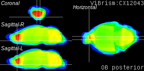 ViBrism