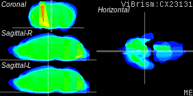 ViBrism