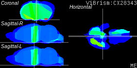 ViBrism